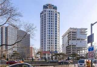 青浦区美短猫咪定制选购联系方式