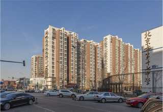 河北TE-1细胞专业团队值得信赖